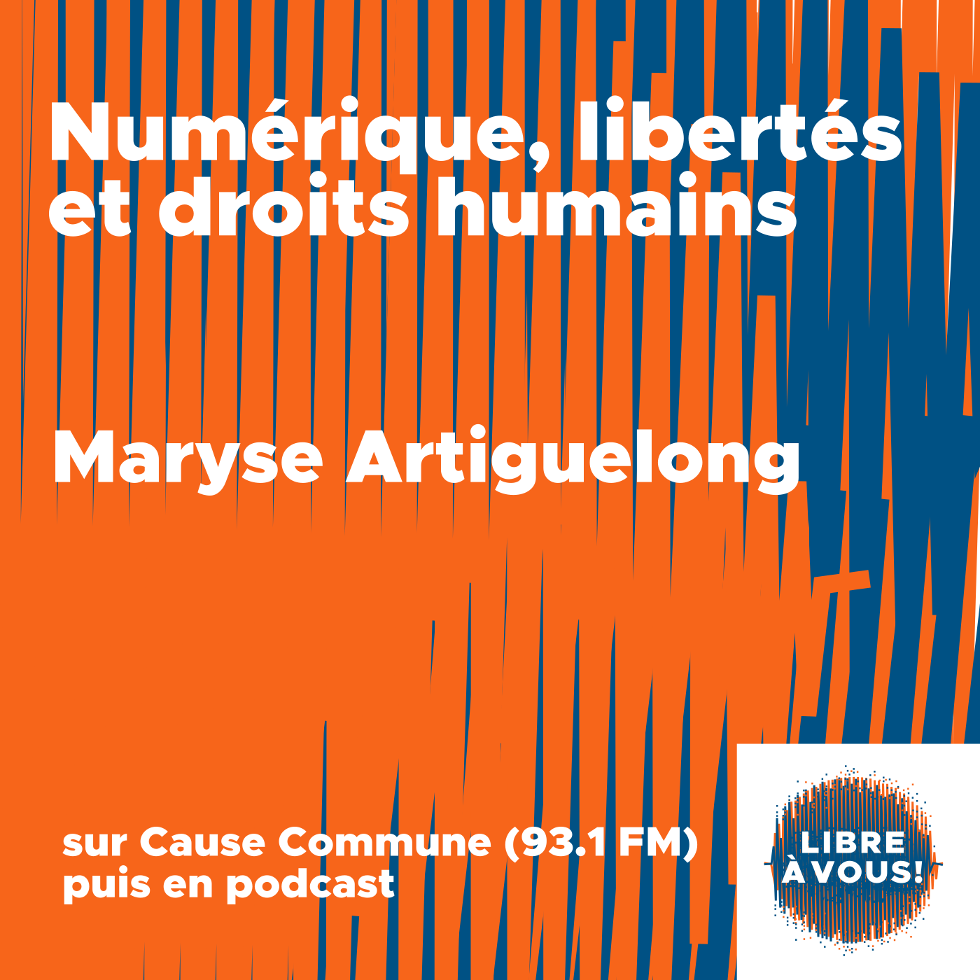 Numérique, libertés et droits humains podcast artwork